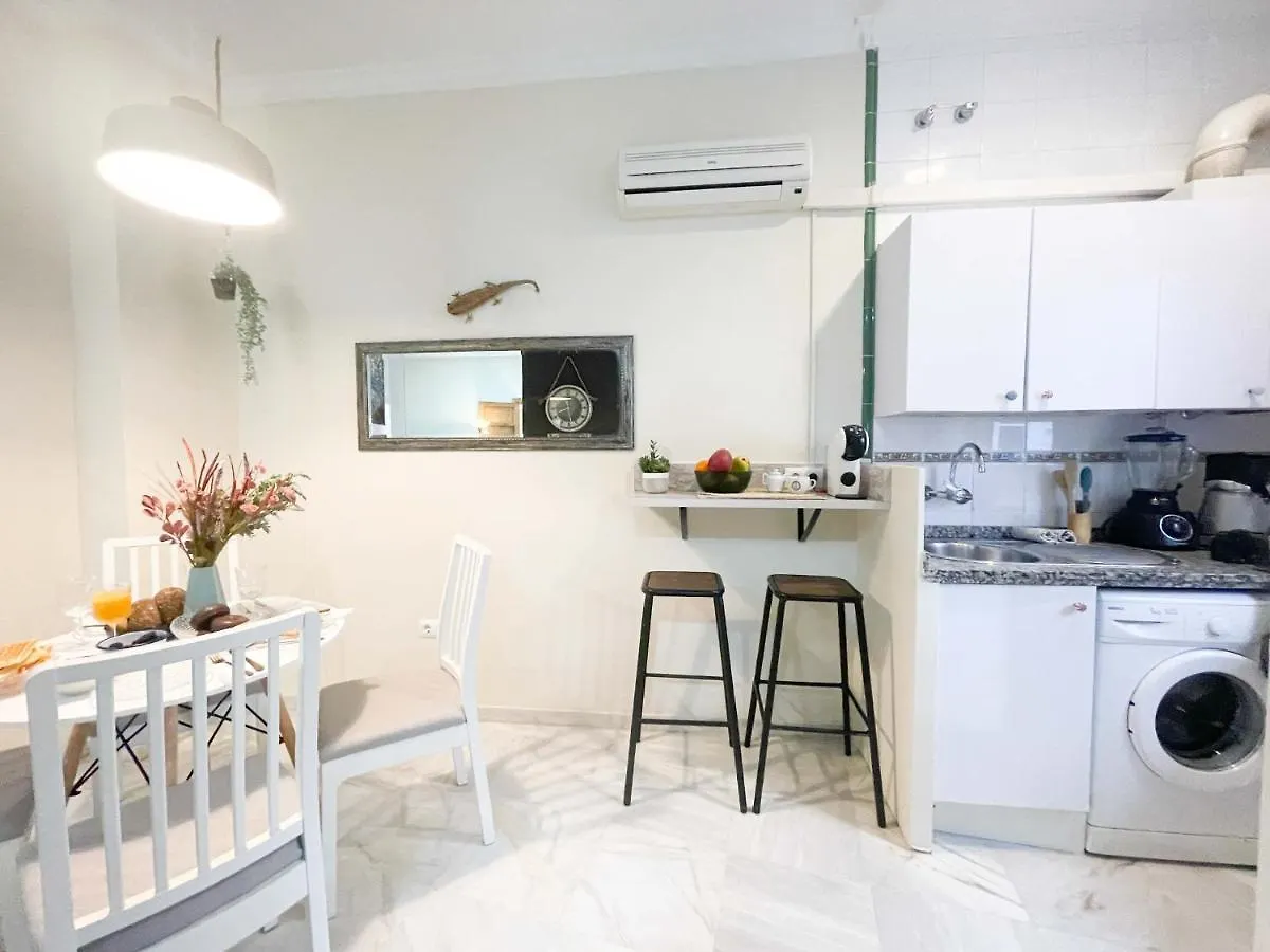 Apartment Practical Studio- 1Bth- Las Setas Seville Spain